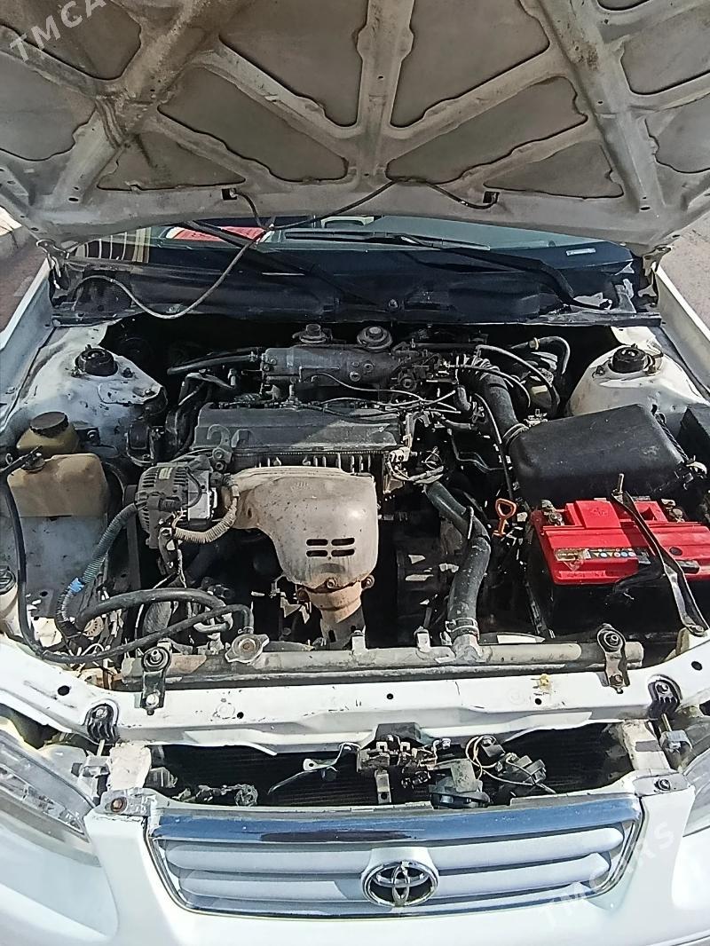 Toyota Camry 1998 - 120 000 TMT - Губадаг - img 4