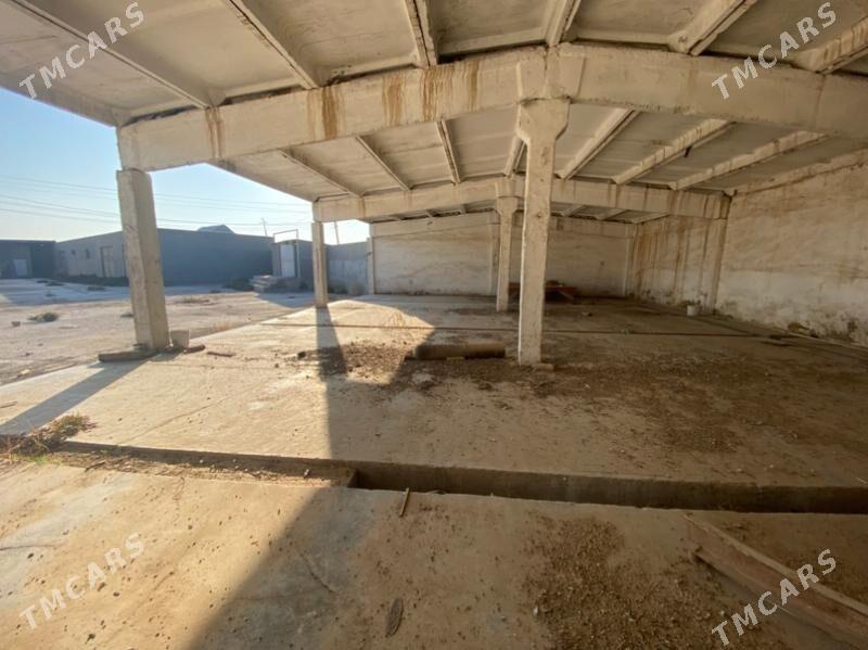 Önümçilik üçin yeri - Murgap - img 3