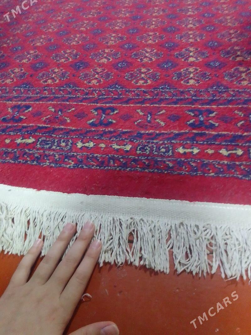 haly - Туркменбаши - img 2