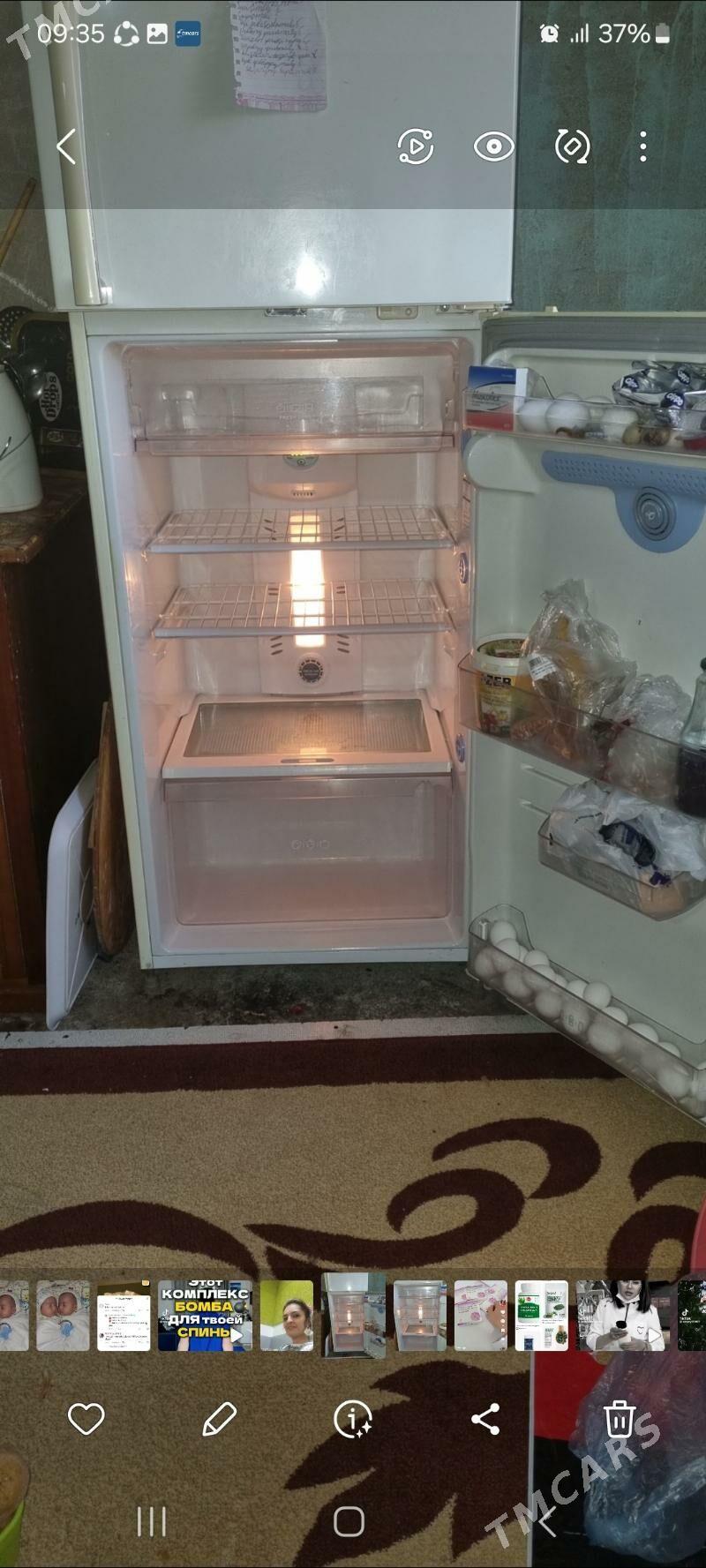 haladilnik - Ak bugdaý etraby - img 2