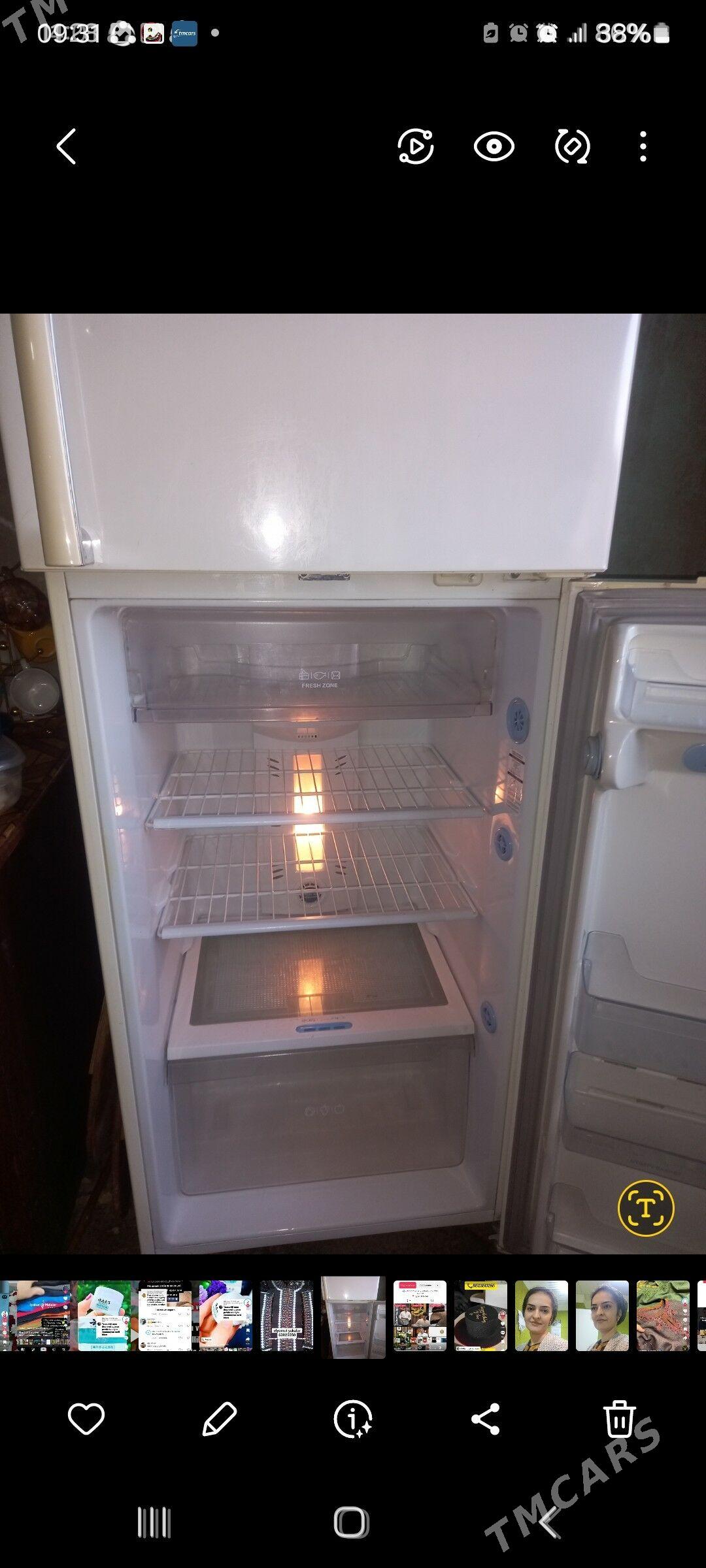 haladilnik - Ak bugdaý etraby - img 3