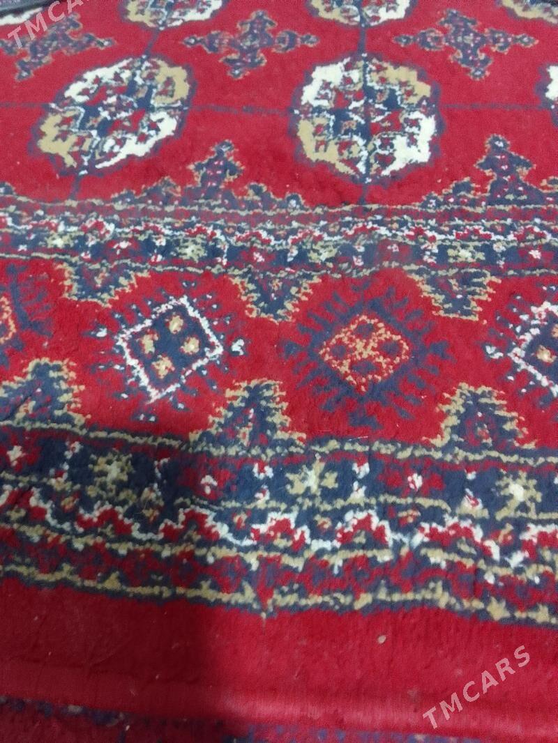 haly daroshka - Туркменбаши - img 2