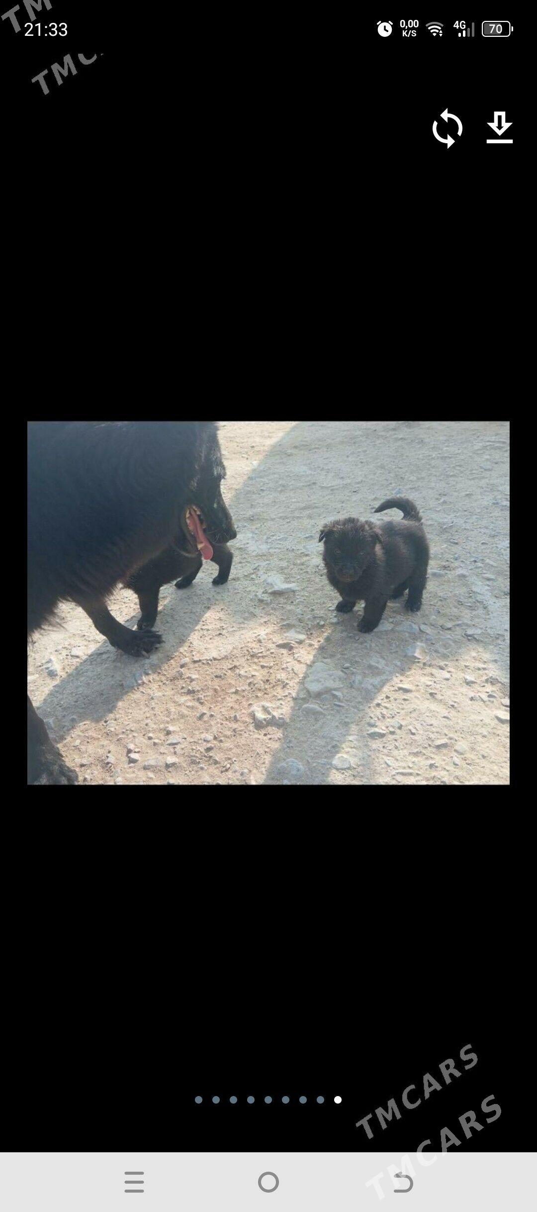 Awçarka - Aşgabat - img 4