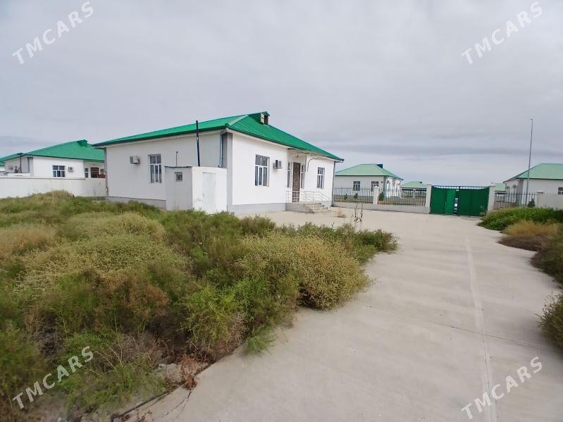 kopetdagyn yalkymy eyesinden - Gökdepe - img 4