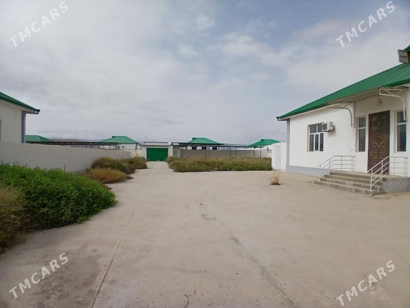 kopetdagyn yalkymy eyesinden - Gökdepe - img 8