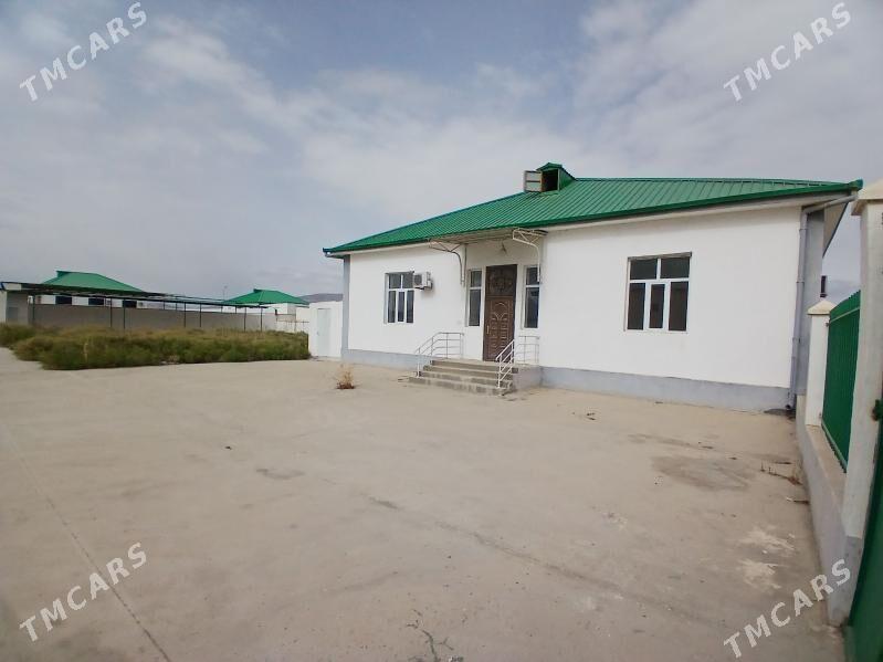 kopetdagyn yalkymy eyesinden - Gökdepe - img 5