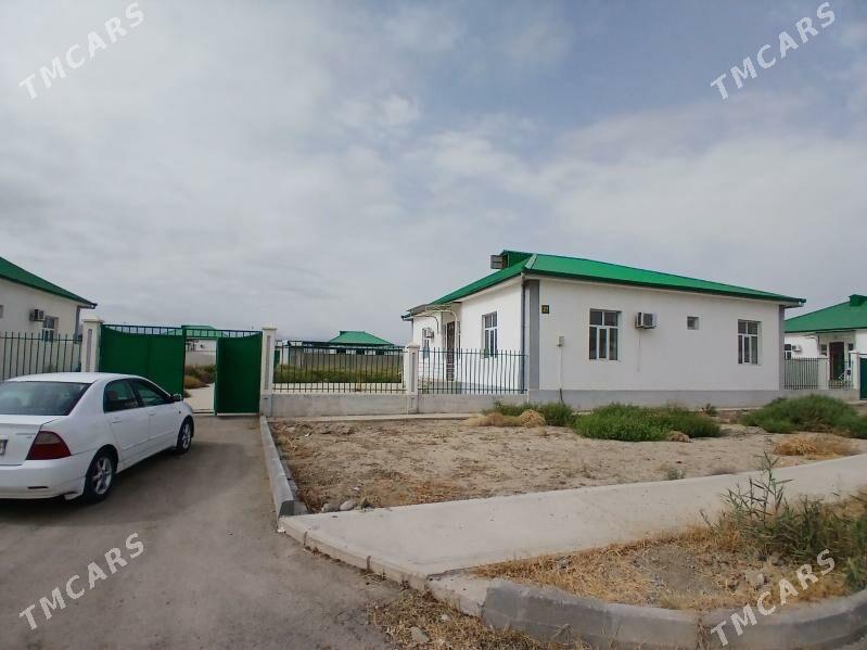 kopetdagyn yalkymy eyesinden - Gökdepe - img 7