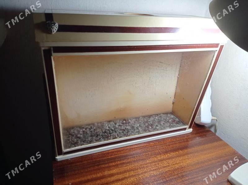 аквариум - Ашхабад - img 2