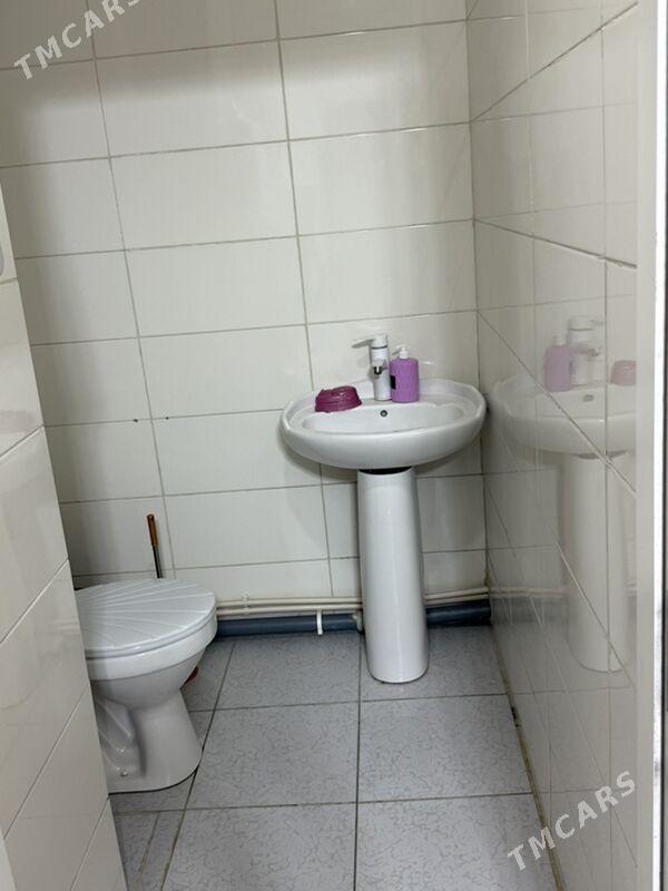 Jemagat jay - Büzmeýin - img 6