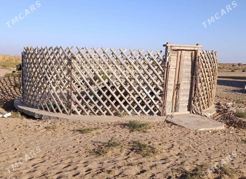 Gara oy - Mary - img 3