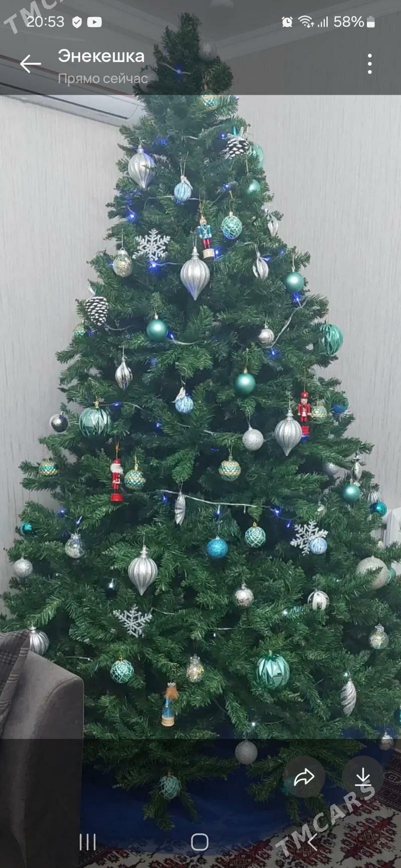 Елка - Aşgabat - img 2