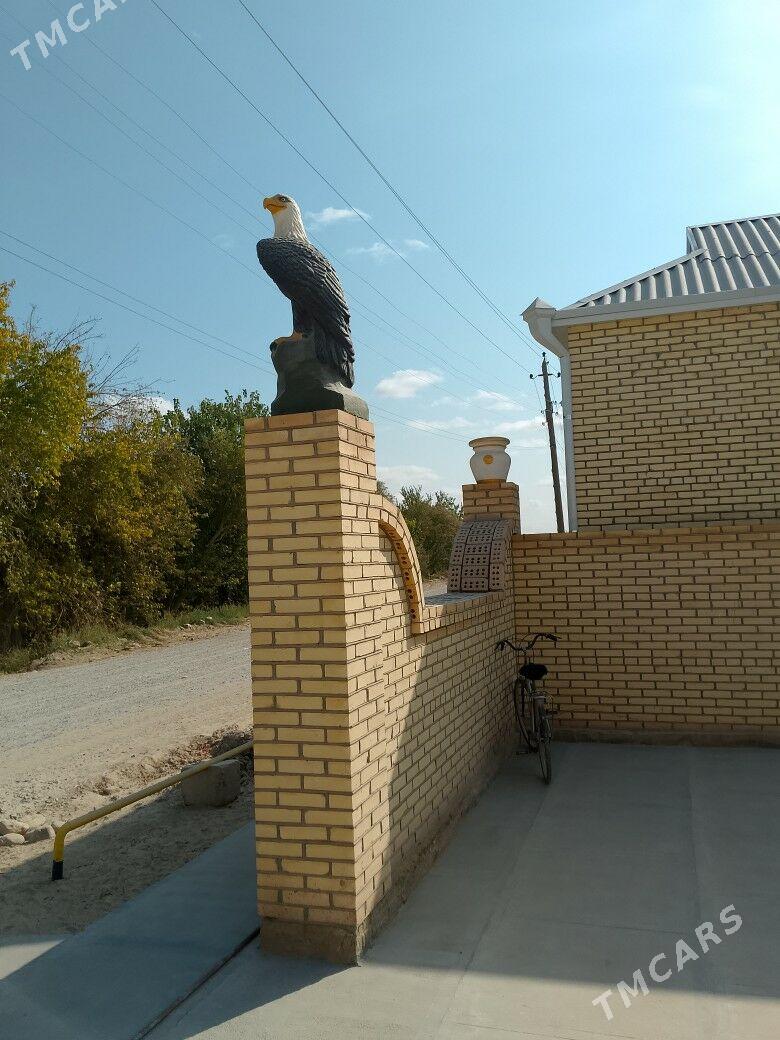 Bürgüt - Каракумский этрап - img 4