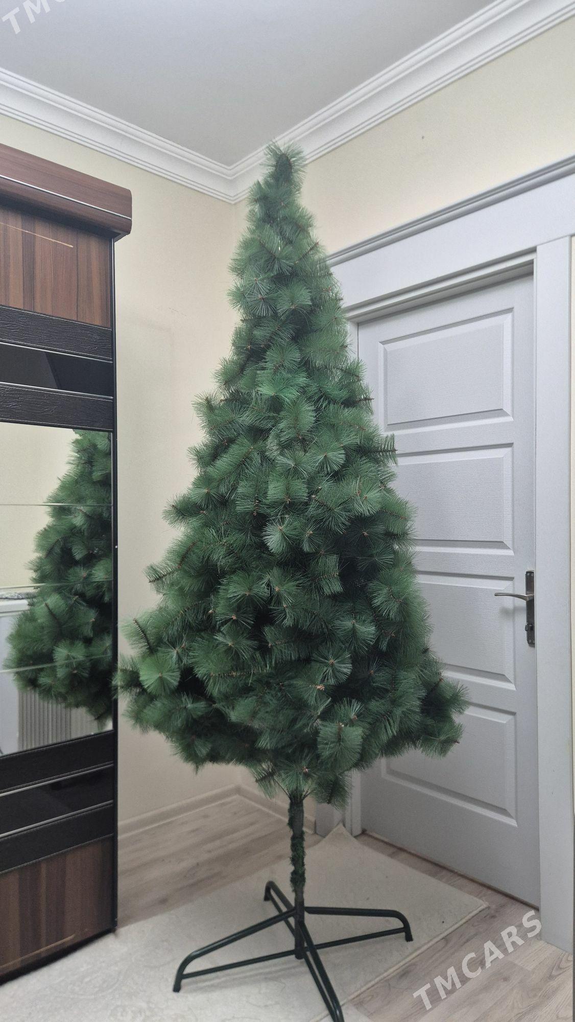 Yolka - Ашхабад - img 1