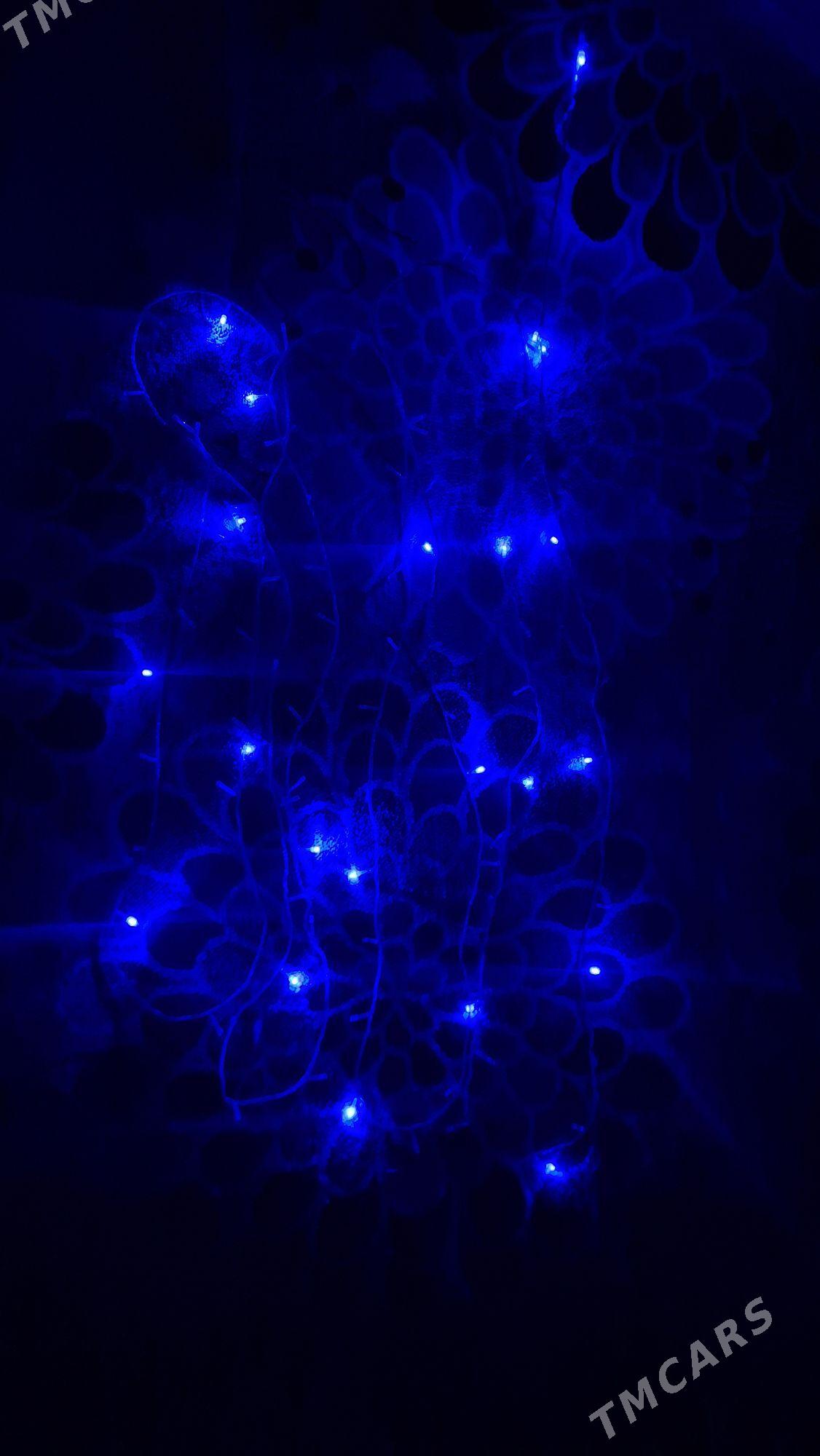 Yolka - Ашхабад - img 7