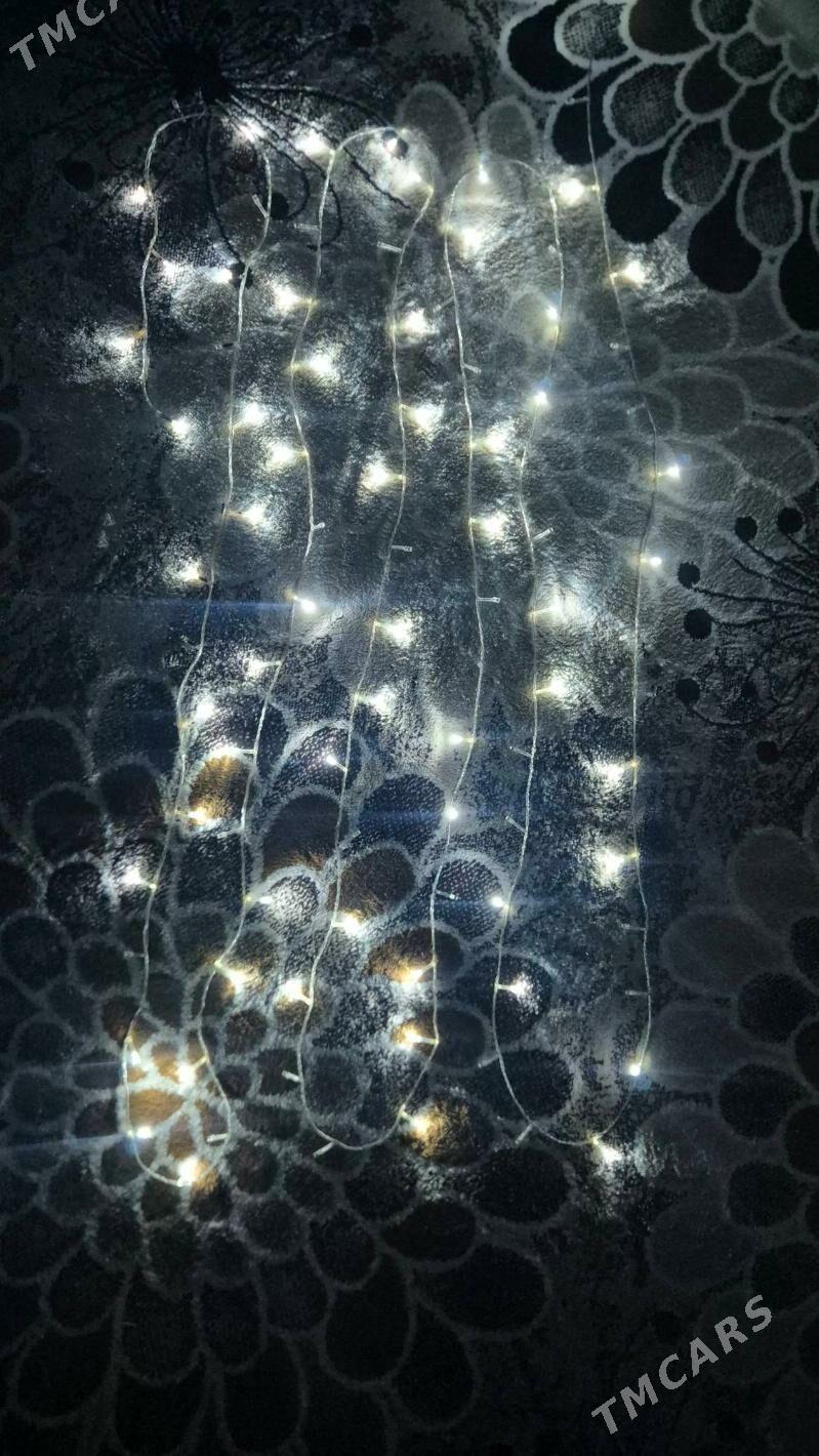 Yolka - Ашхабад - img 6