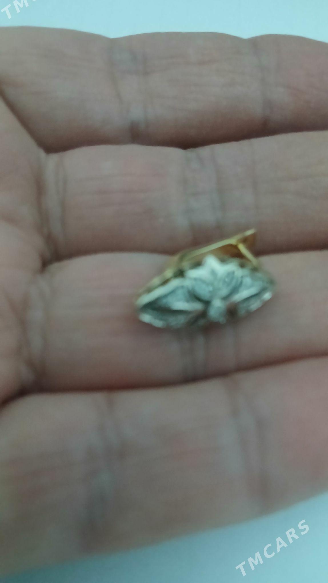 halal - Türkmenbaşy - img 3