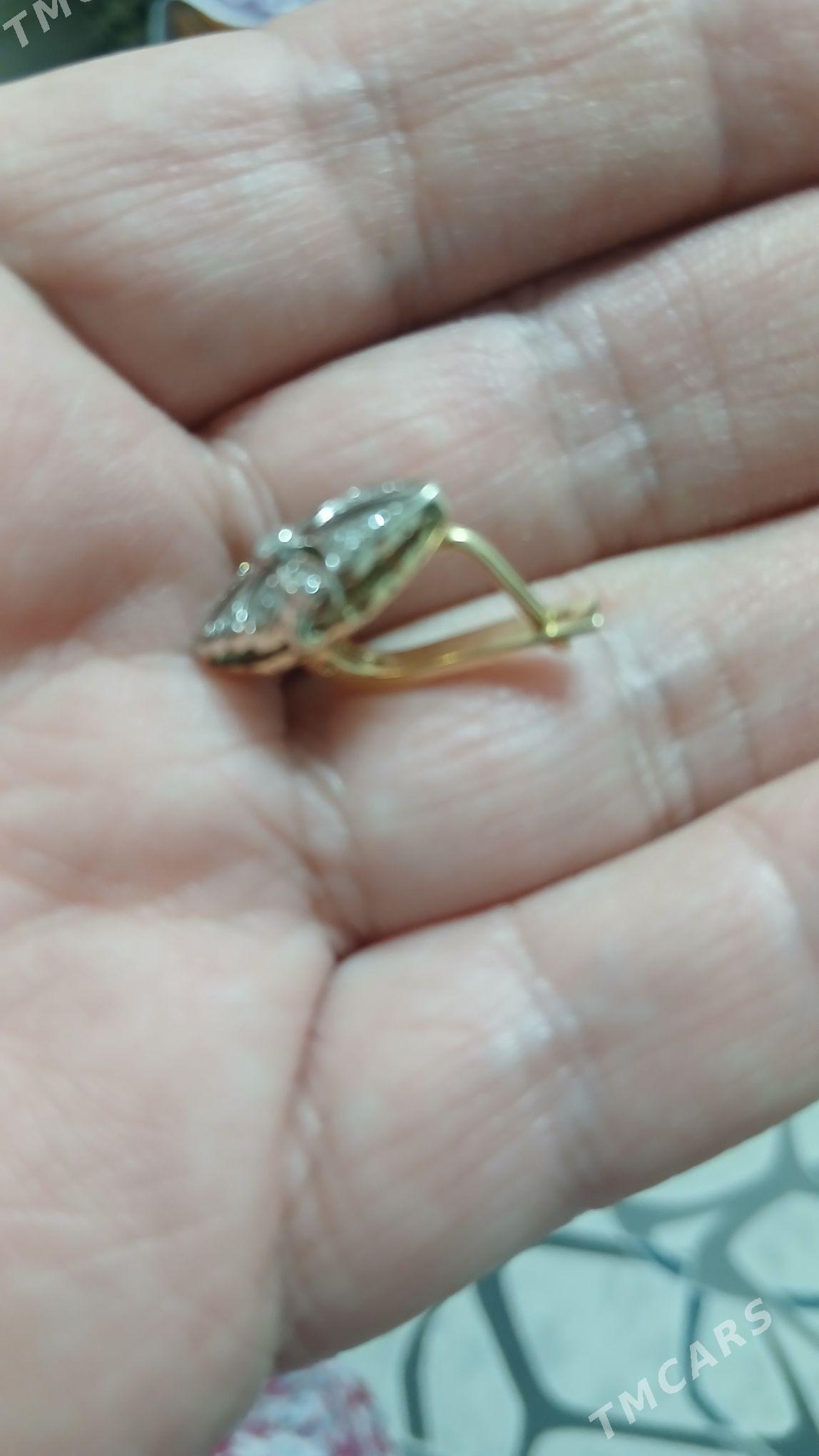 halal - Türkmenbaşy - img 2