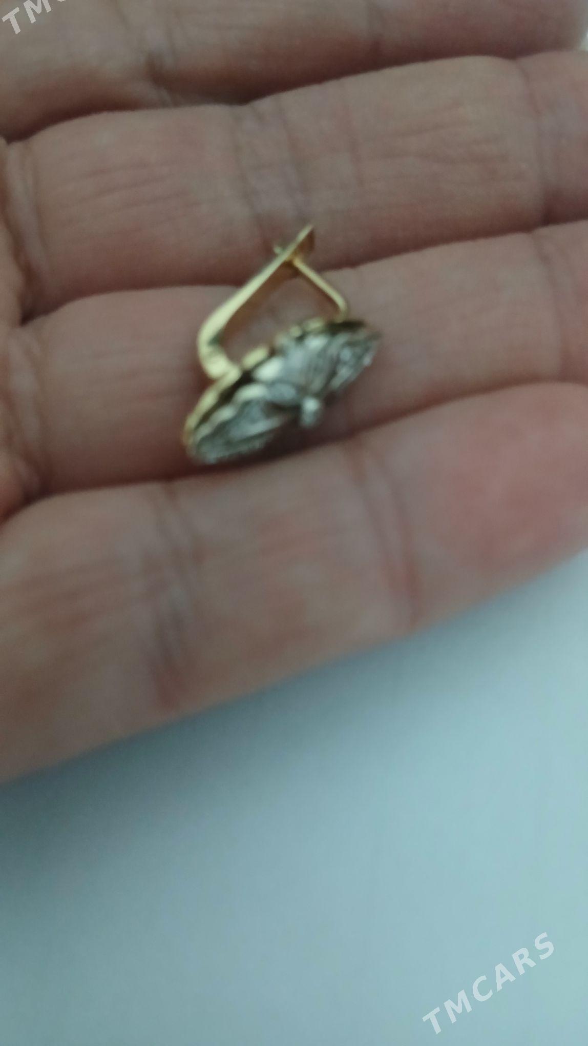 halal - Türkmenbaşy - img 4