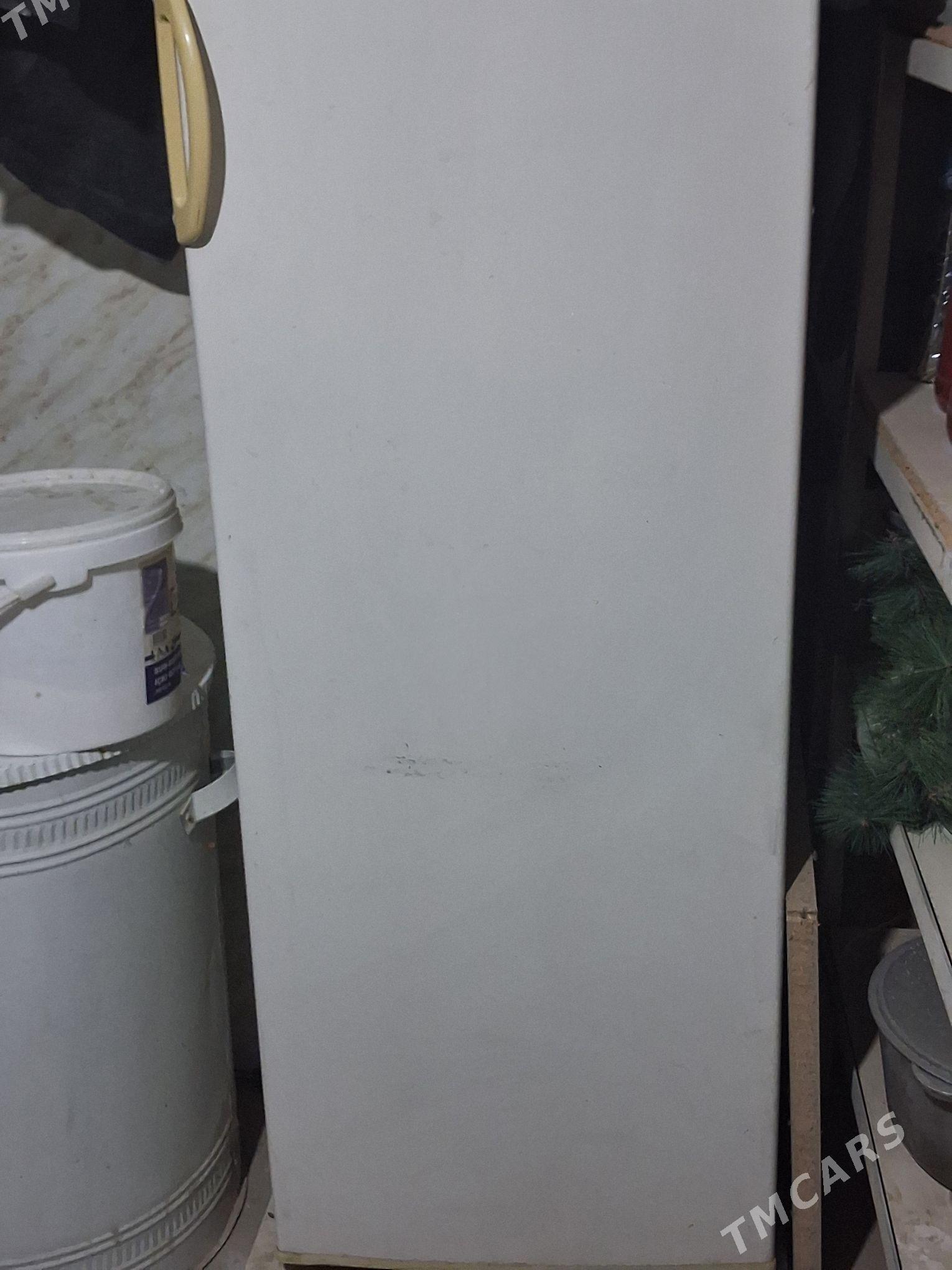 Satlyk Haladılnık Sowadyjy - Ak bugdaý etraby - img 3