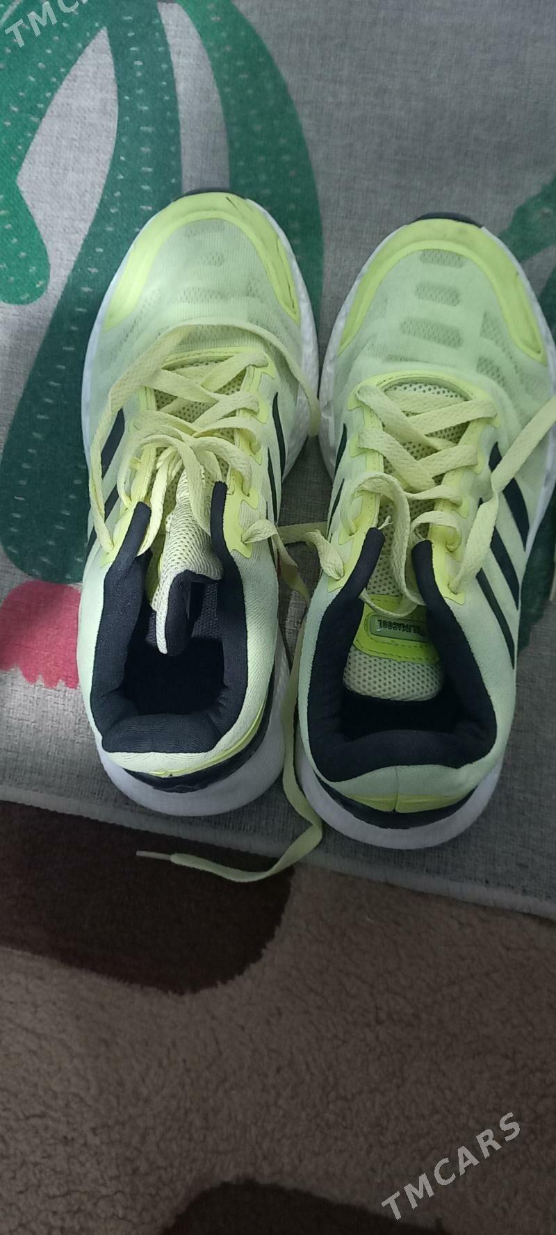 Krasowka Ýasyl reñk gyzlar - Balkanabat - img 2