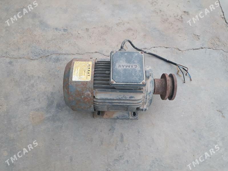 mator - Kaka - img 1