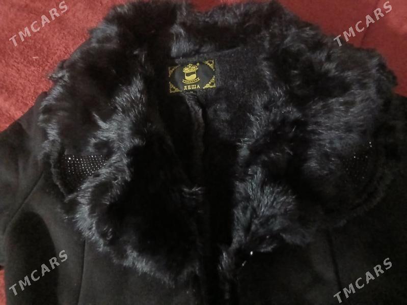 dublyonka - Багир - img 2