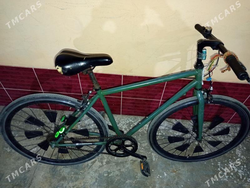 26lyk - Mary - img 5