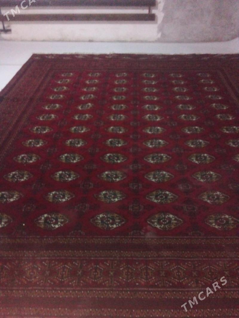 jaý satlyk - Болдумсаз - img 3