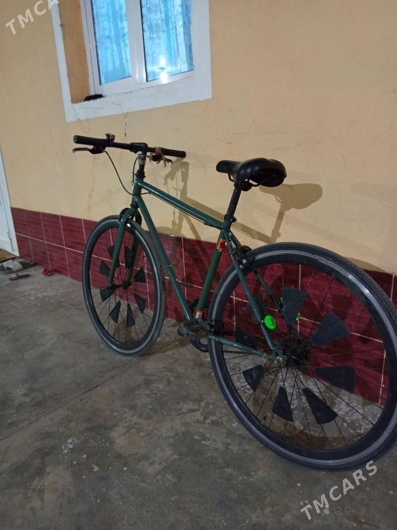 26lyk - Mary - img 3