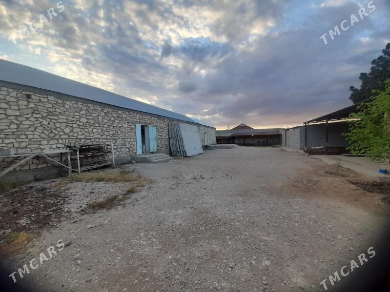 Satlyk Yer - Balkanabat - img 3