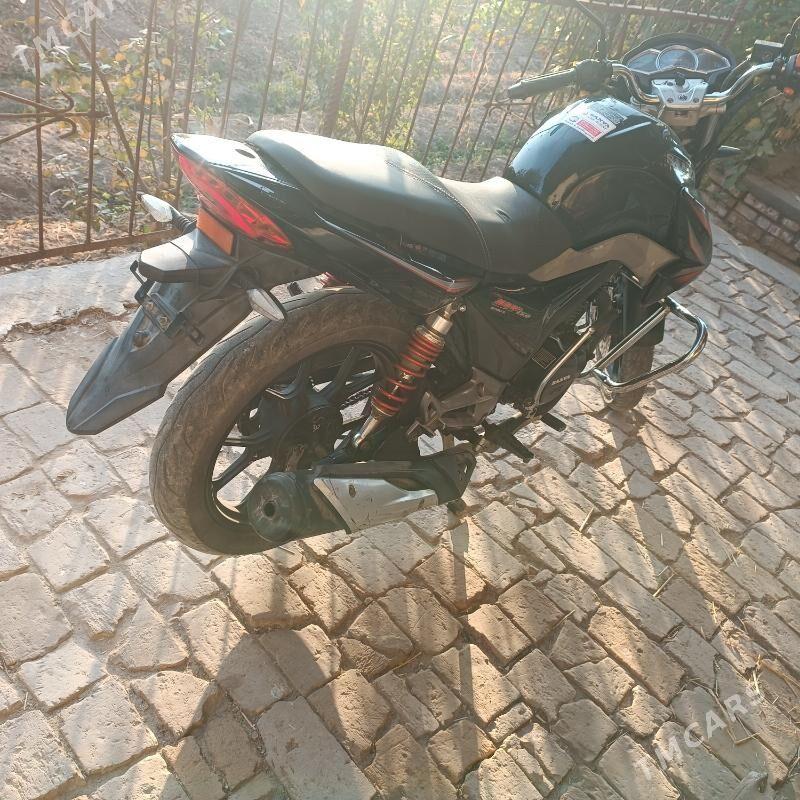 Fekon FK200-14G 2022 - 23 000 TMT - Halaç - img 5