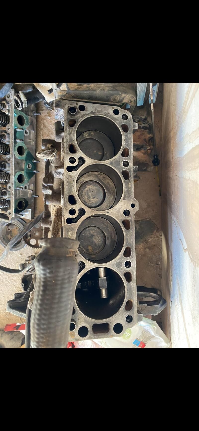 2lik mator 123 TMT - Daşoguz - img 2