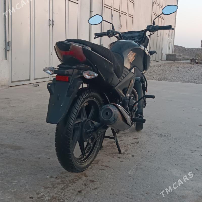 Fekon FK200-14G 2022 - 23 000 TMT - Halaç - img 3