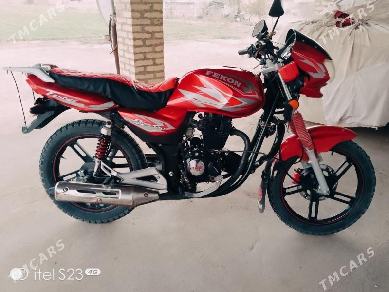 Fekon FK200-14G 2024 - 15 000 TMT - Dostluk - img 3