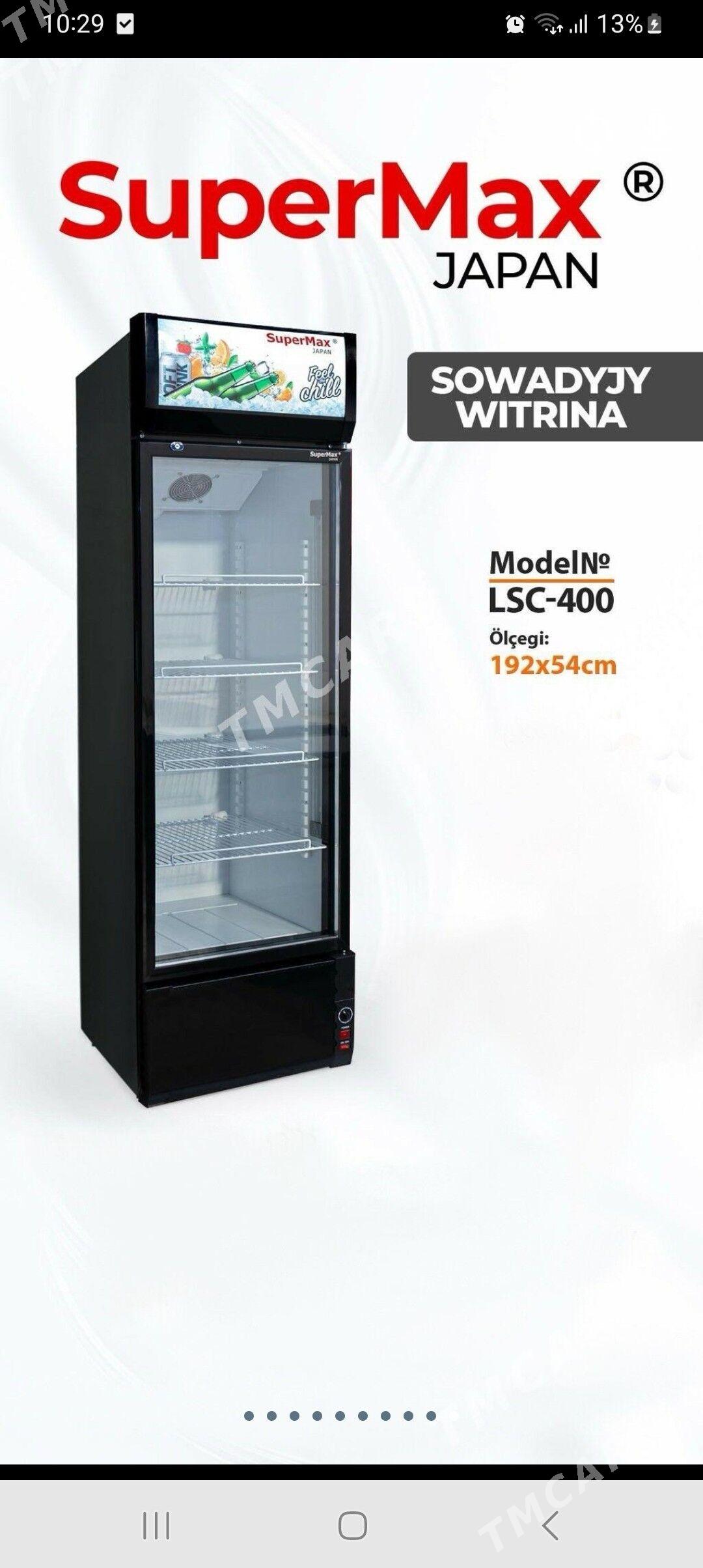 vitirina haladilnik - Bagyr - img 2