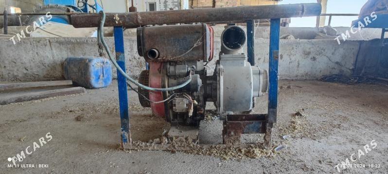 Suw nasos 100-lik dizelni - Бабадайхан - img 1