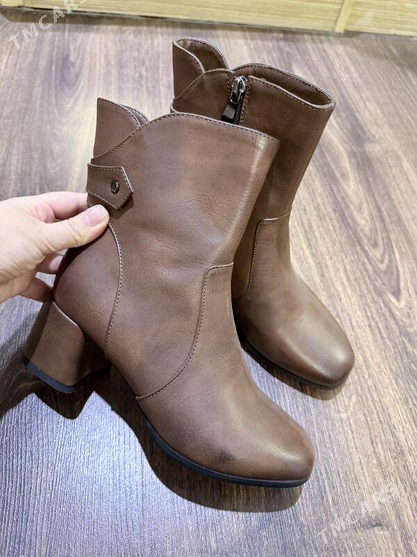 Taze adik - Ашхабад - img 1