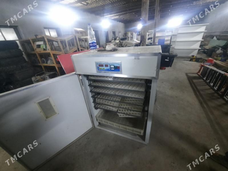 inkubatir - Şabat etr. - img 4