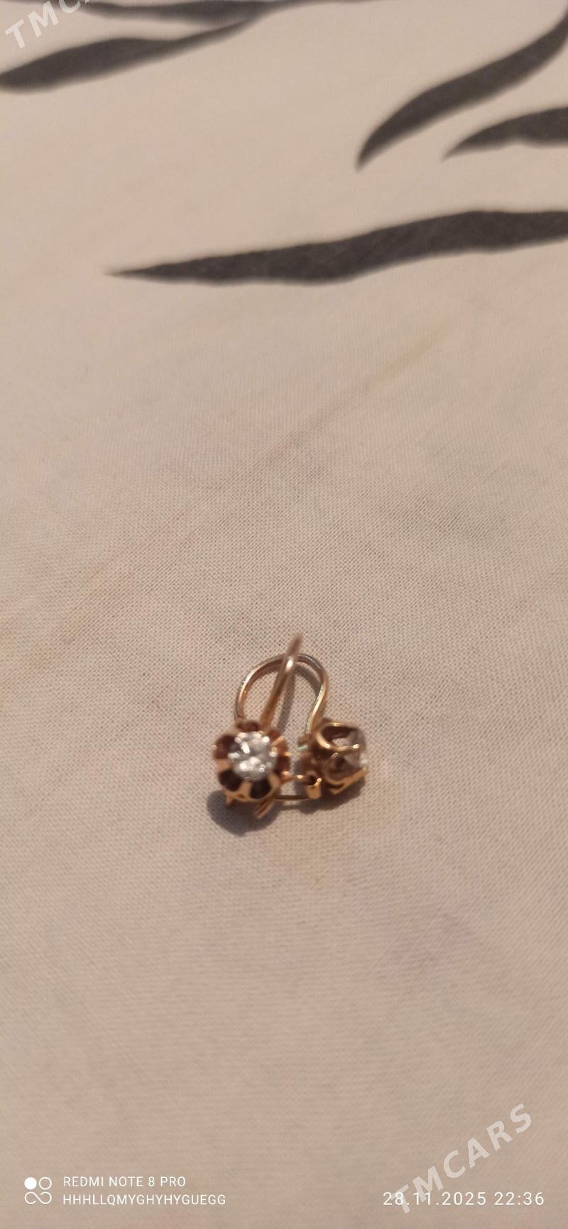 çaga gulakalka - Köşi - img 2