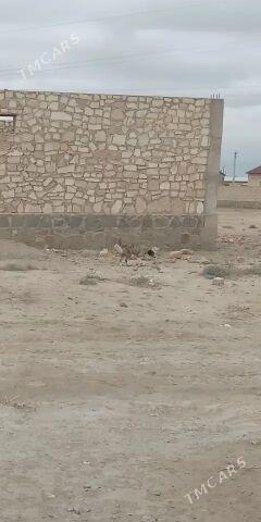 jaý - Берекет - img 3