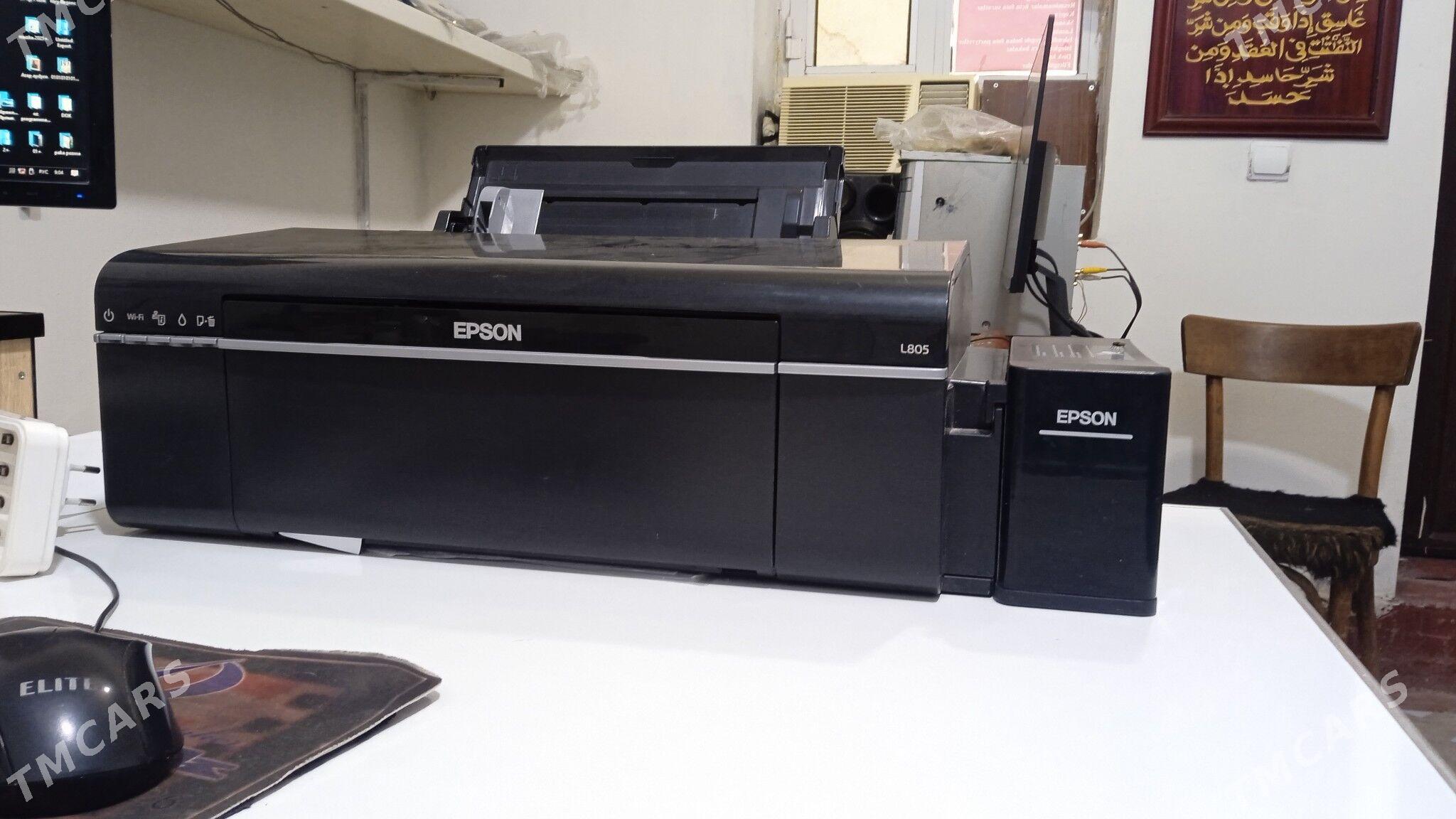 Tayyar kodok - Байрамали - img 3