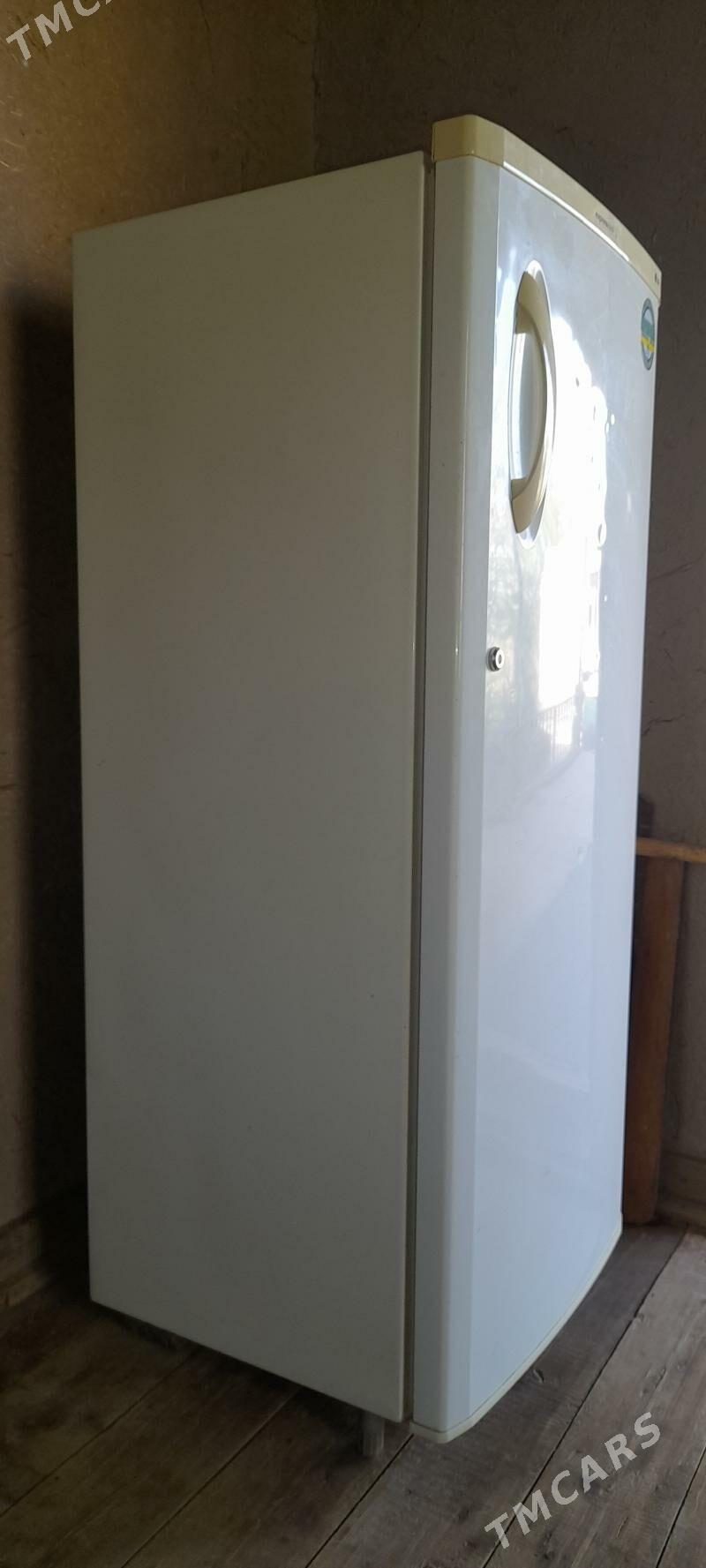 Holodilnik LJ - Гороглы (Тагта) - img 2