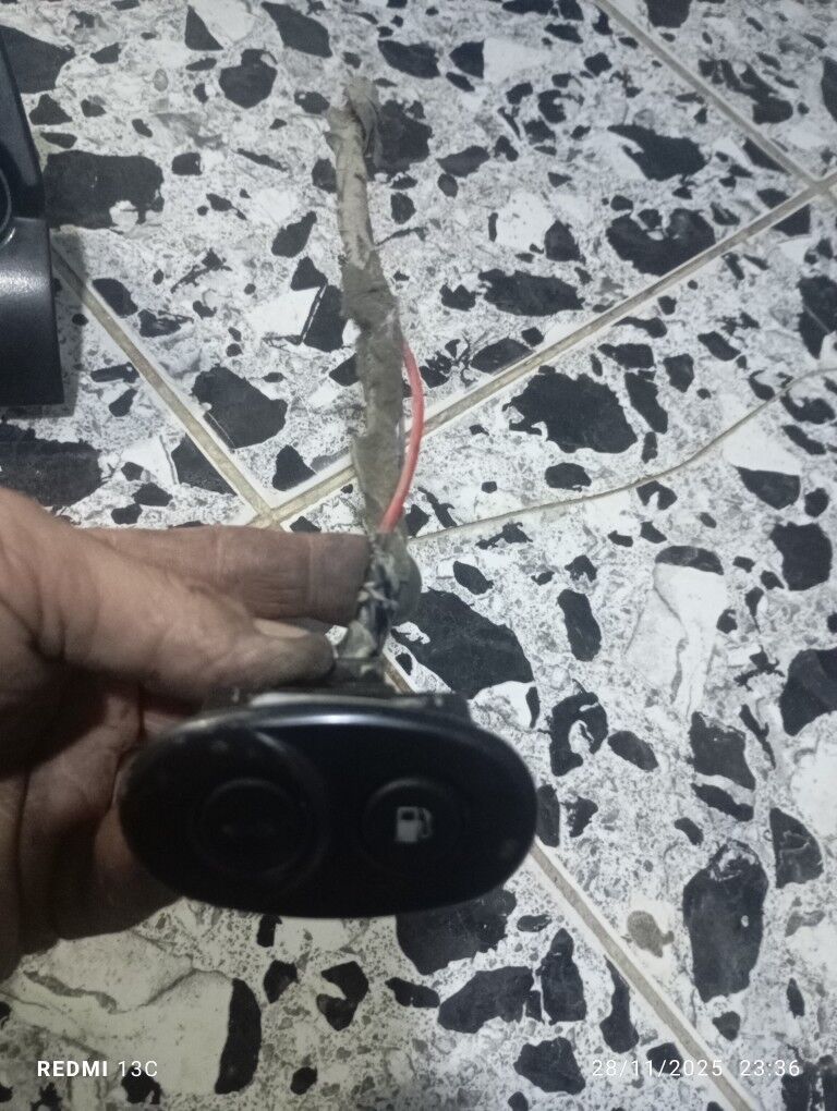 nehsi zapjas 100 TMT - Gurbansoltan Eje - img 3