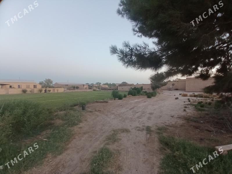 сатлык жай - Саят - img 4