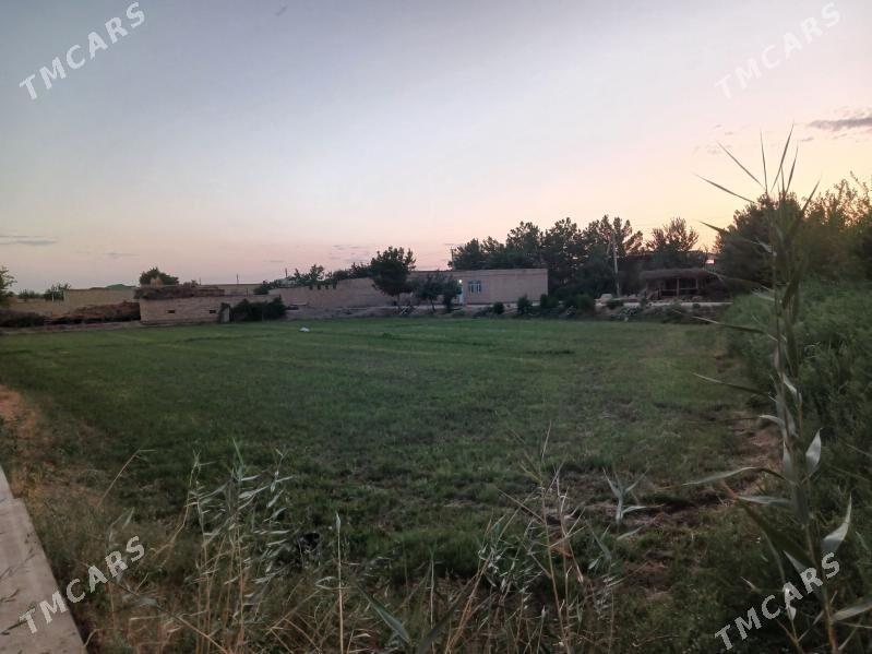 сатлык жай - Саят - img 6