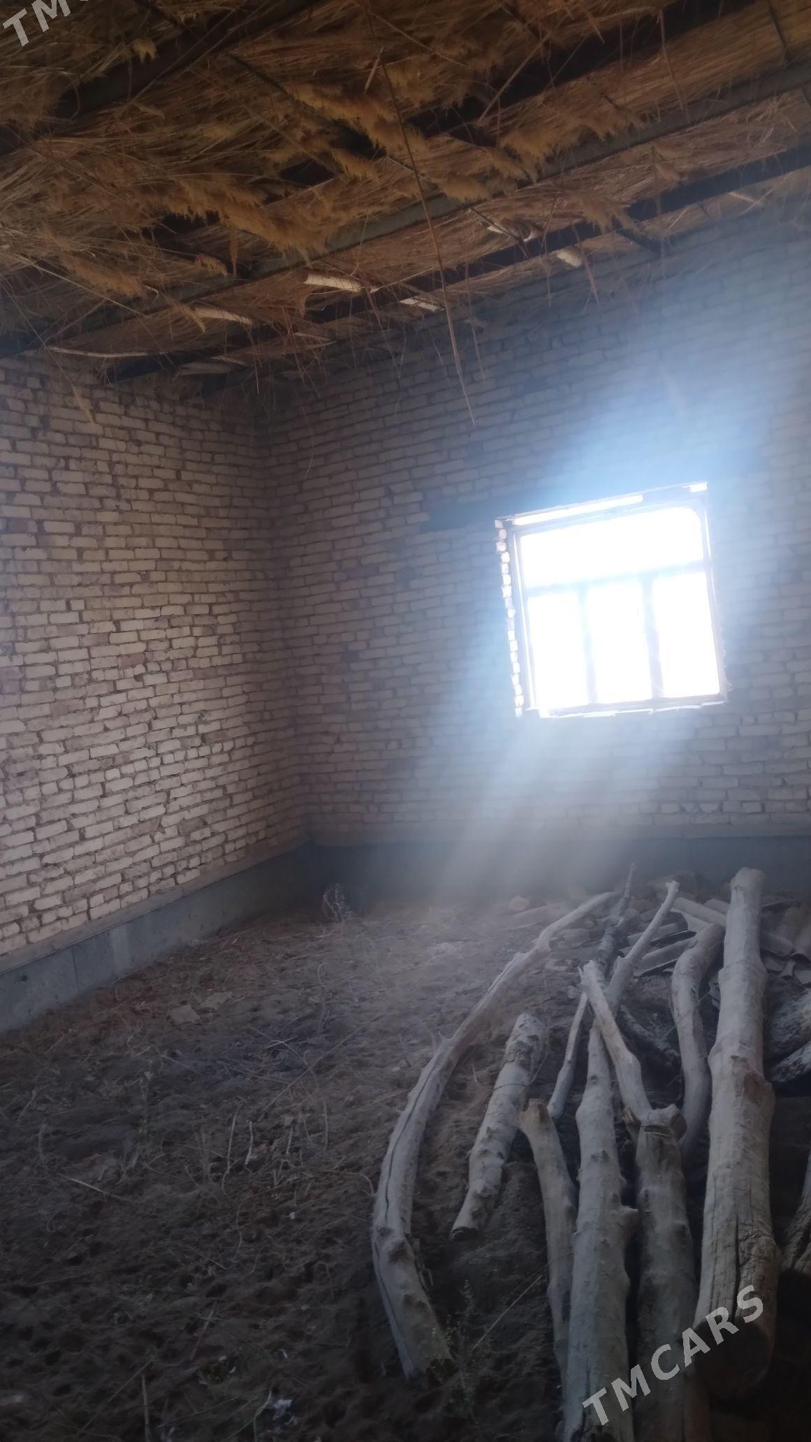 satlyk jay - Болдумсаз - img 3