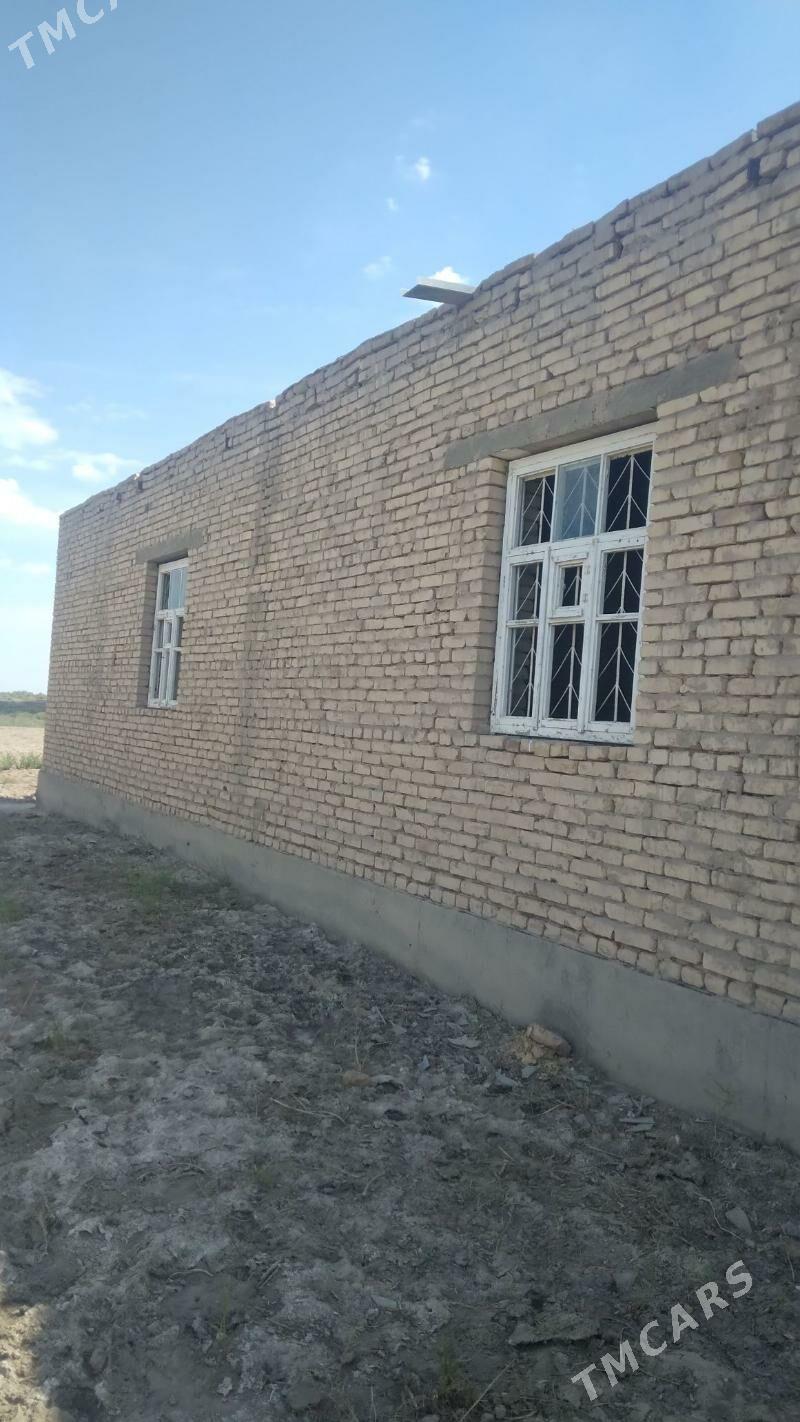 satlyk jay - Болдумсаз - img 4