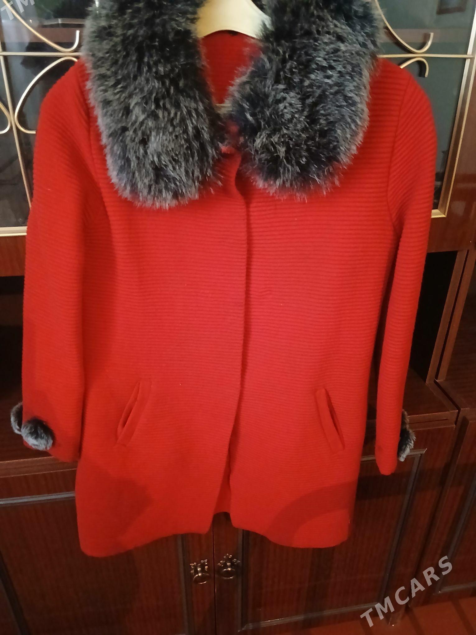 Palto - Halaç - img 2