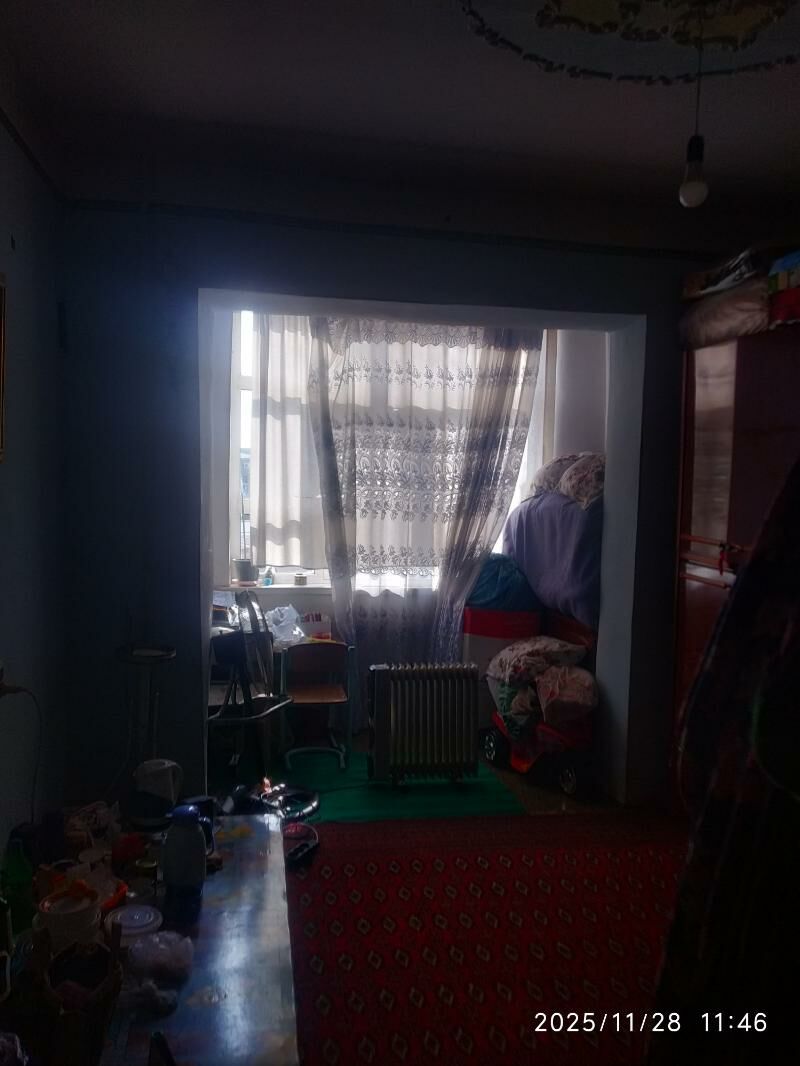 Satlyk jay - Mary - img 8