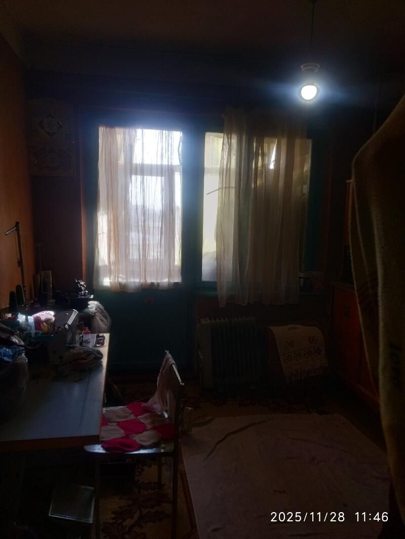 Satlyk jay - Mary - img 6